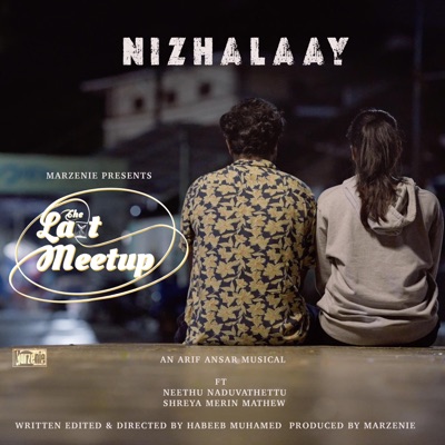 Nizhalaay (feat. Neethu Naduvathettu & Shreya Merin Mathew) - Single