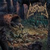Hallucinations of the Decrepit