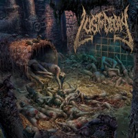 Hallucinations of the Decrepit