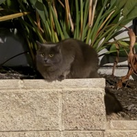 fall down (feat. warm) - Single - deet