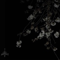 I DONT FEEL THE PAIN - Single - Very Abstract