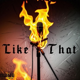 Like That (feat. TAO$) BIG Vybe