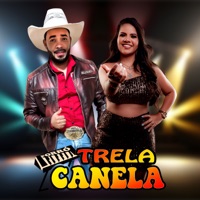 Proibido Terminar - Single - Forró Trela Canela