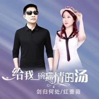 给我一碗忘情的汤 (对唱) - Single - 剑归何处 & 红蔷薇