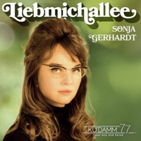 Liebmichallee (feat. Sonja Gerhardt) - Single - Peter Plate, Ulf Sommer & Joshua Lange