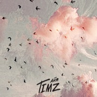 Айя - Single - TIMZ