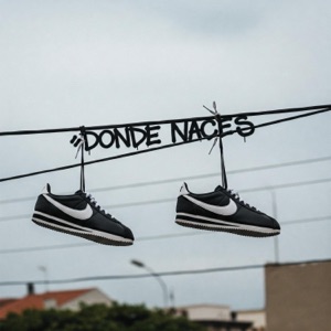 DONDE NACES (feat. Wako Nazca Guerrilla Callejera & MessiDeLaCH) - Single