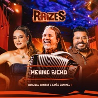Menino Bicho