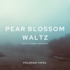 Polesian Tapes - Pear Blossom Waltz (Solo Piano)