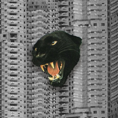 Ma6a6 II مطـاط - Single