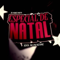 ESPECIAL DE NATAL - SENTA NO PAUNETONE - Single - Dj Andre Porto
