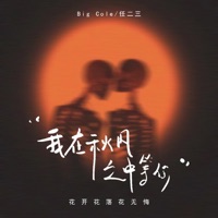 我在秋风之中等你 (花开花落花无悔) - Single - Big Cole & 任二三