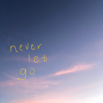 Never Let Go (feat. Solphul, Keywop & KEZ) - Single