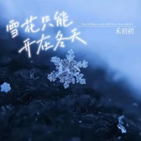 雪花只能开在冬天 - Single - 禾初初