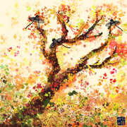 Drum2 - ilolo & Castleis