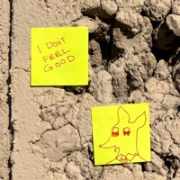 I Don't Feel Good - Single - Snailmate