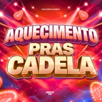 Aquecimento Pras Cadela - Single - DJ Dan zs, Mc Bryan SS & Lira Johnny Mc