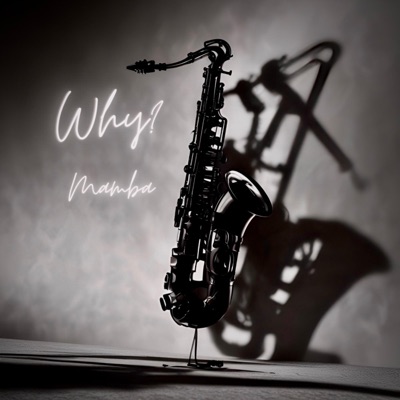 Why? (feat. Prod.jk8) - Single