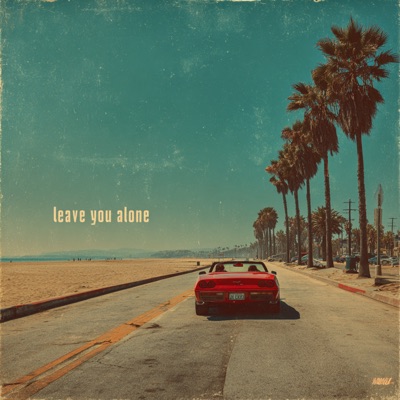Leave You Alone - Single