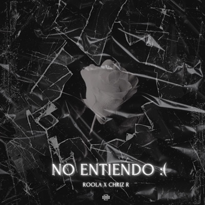 No entiendo:( (feat. Chriz R) - Single