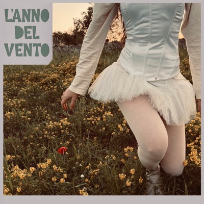 L'anno del vento - Gianluca De Rubertis