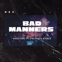 Bad Manners (feat. Vinchenzo M'bale) - Single - Wakatemo
