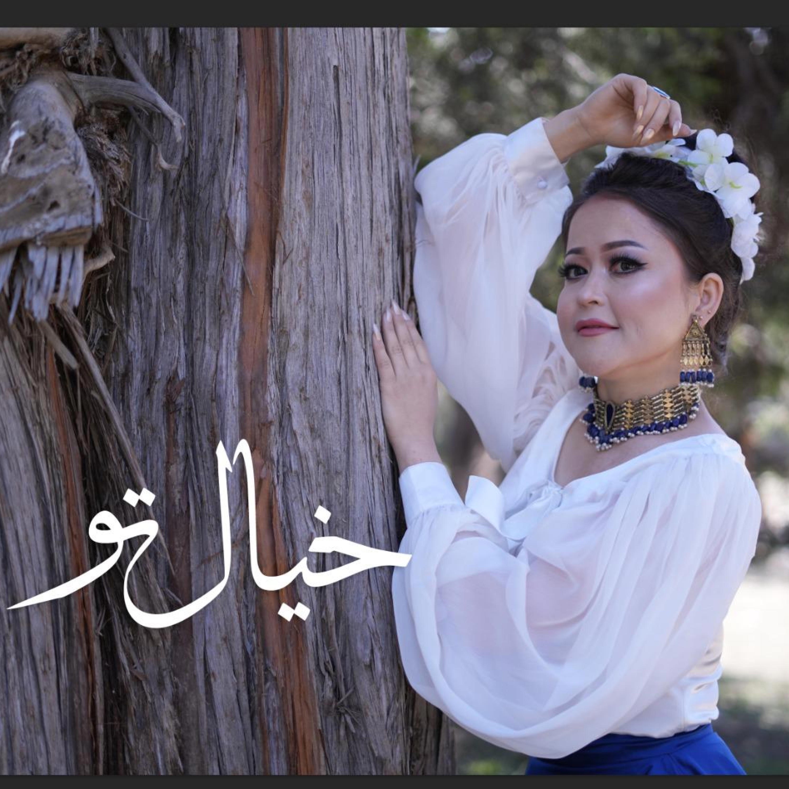 Khiyal Tu hazaragi song - Single