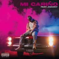 Mi Cariño - Single - Jalmar & Joanny