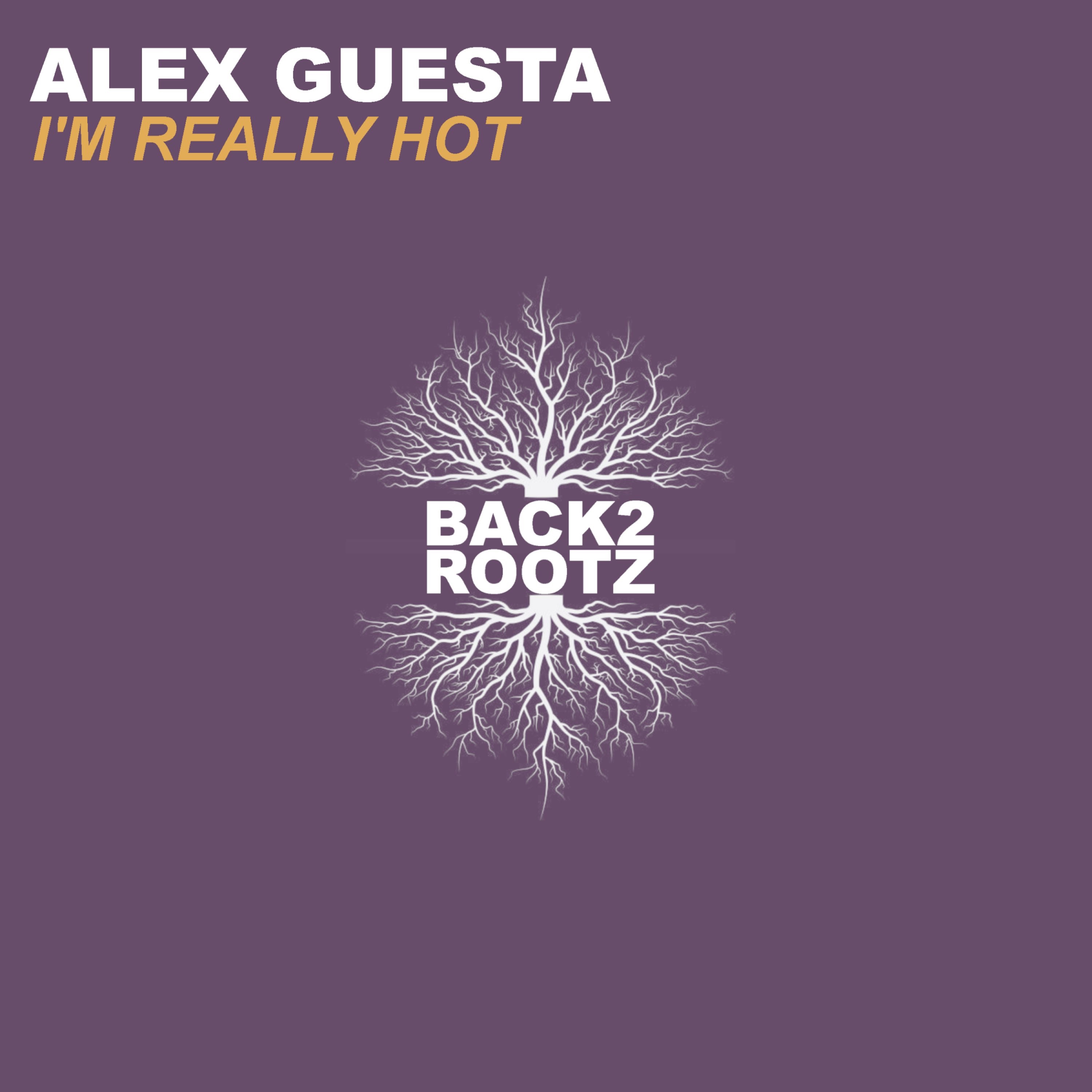 I'm Really Hot - Single