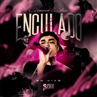 Enculado 2 (En Vivo) - Single - Armando Alonso