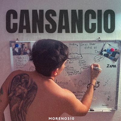 Cansancio (feat. gap33__) - Single