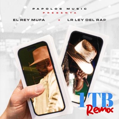 1TB (Remix) - Single