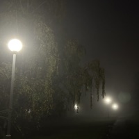 Я или они? - Single - shugar man