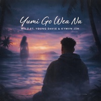 Yumi Go Wea Na (feat. Young Davie & Kymvn-J3H) - Single - Wilz