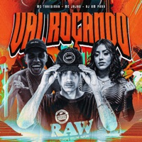 VAI ROÇANDO - Single - DJ BM PROD, MC Thaizinha & Mc Jajau