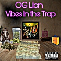 Money Made (feat. 901 Grapke) - Single - OG Lion
