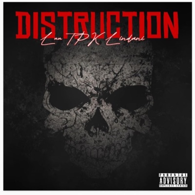 Nothing but distruction - Single