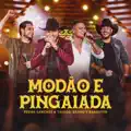 MODÃO E PINGAIADA