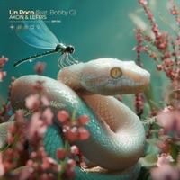 Un Poco - Single - AXON, lefris & Bobby G