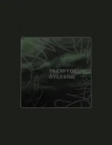 收听 SANRI、观看音乐视频、阅读小传、查看巡演日期等 ！