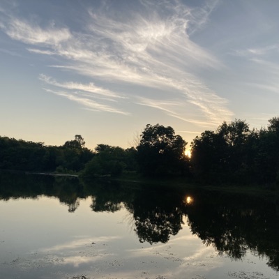 To whom it may concern Pt. 1 - EP