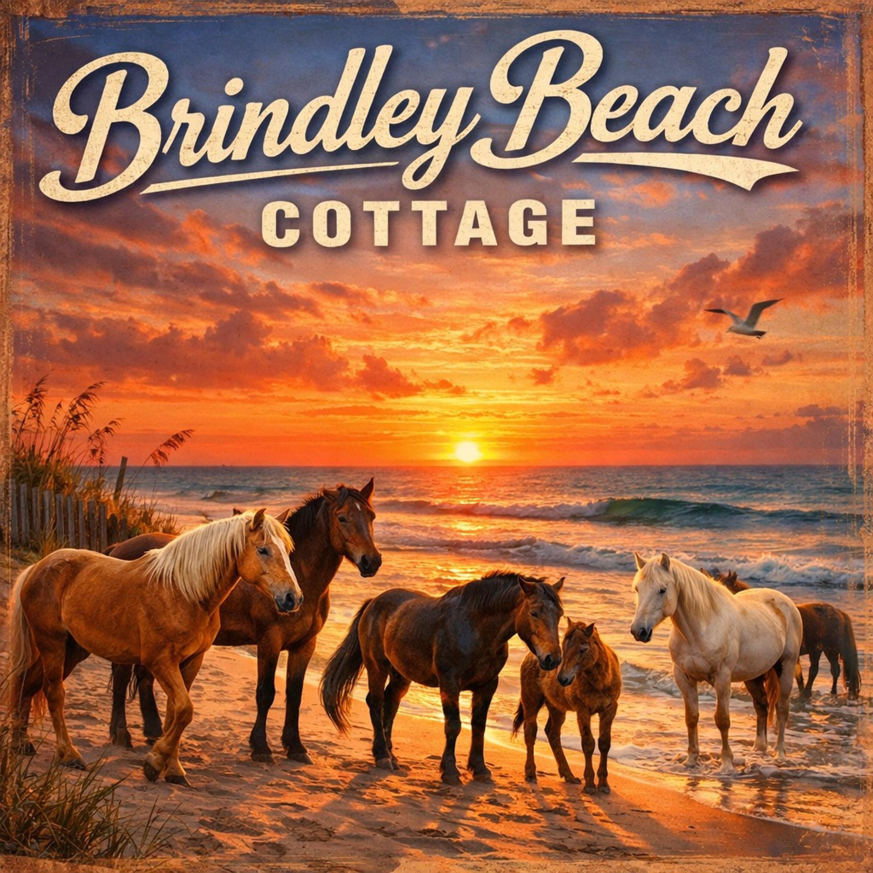 Brindley Beach Cottage - Single