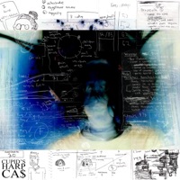 Polyenergy - CUPID'S HARP CA$