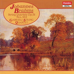 String Quartet in A Minor, Op. 51 No. 2: IV. Finale. Allegro non assai