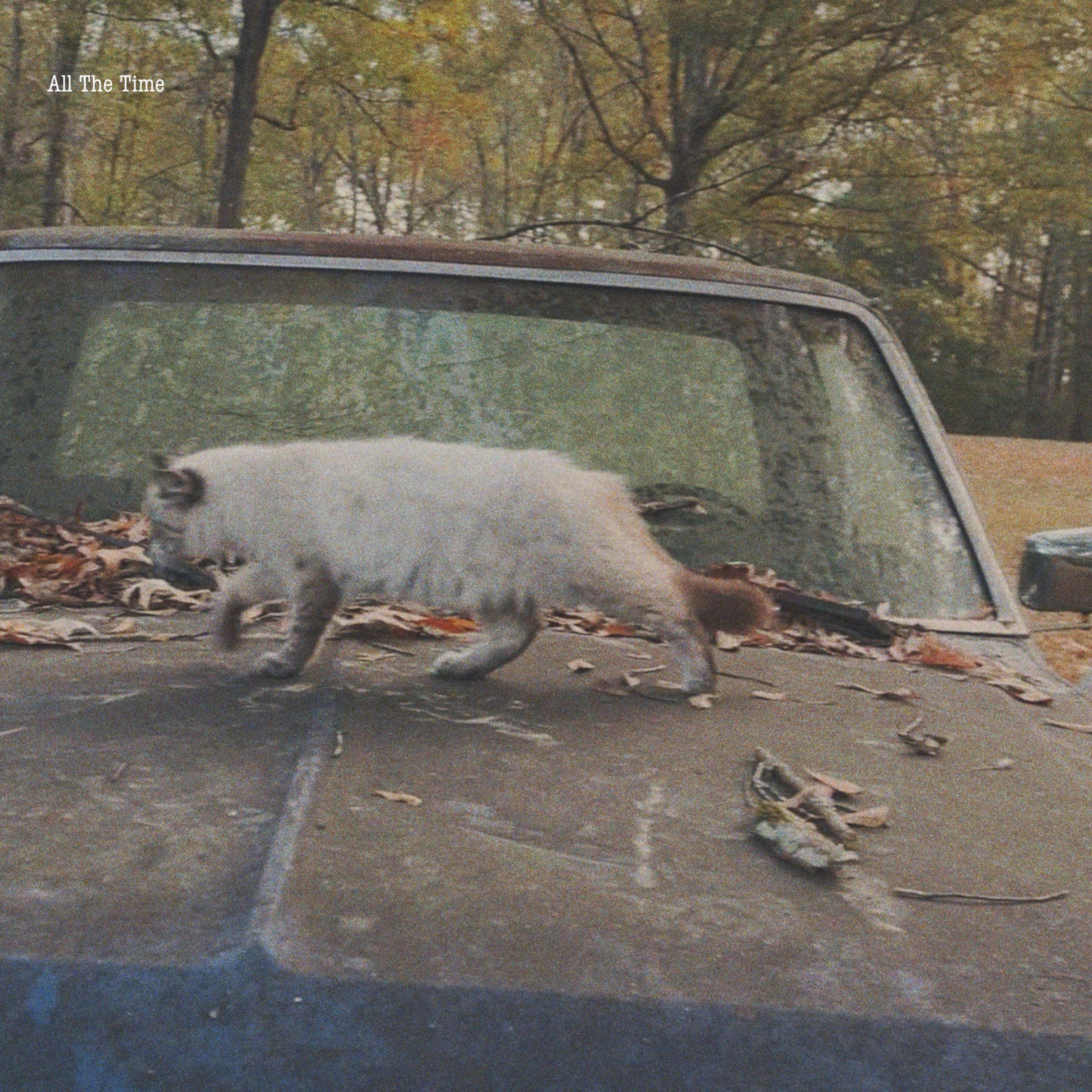 All The Time - Single