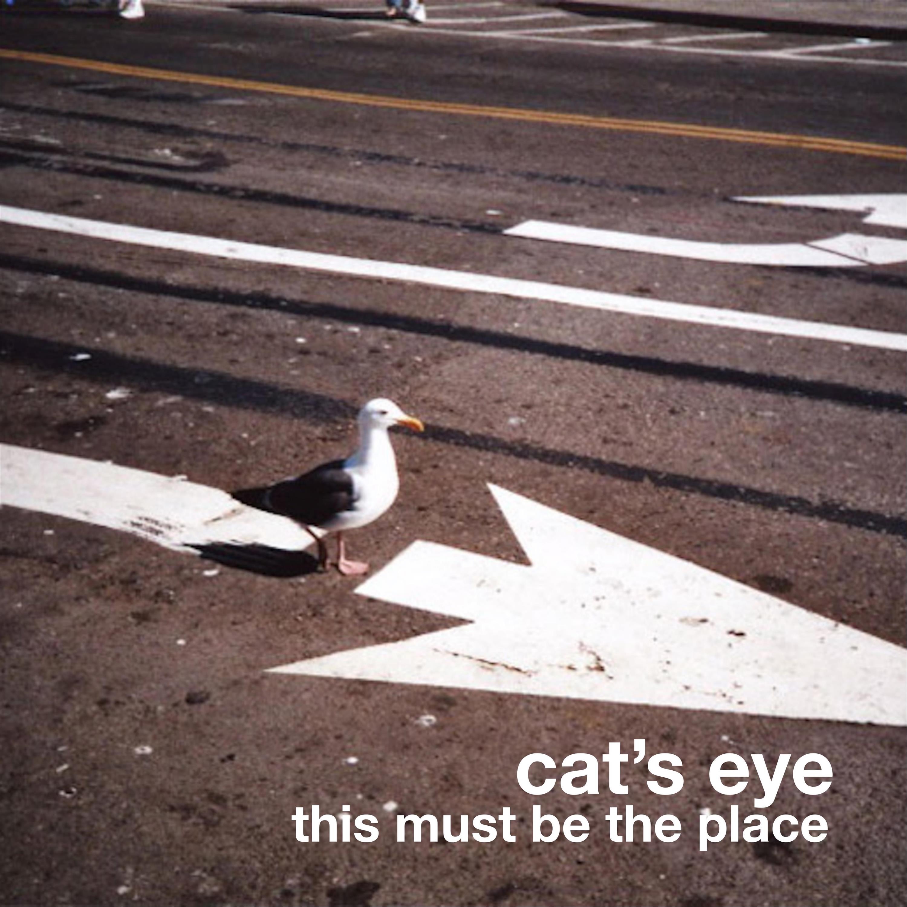 This Must Be the Place