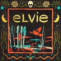 Brown Eyed Girl - Single - Elvie Shane