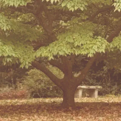 Listen to Fall Scrapook by M d o e