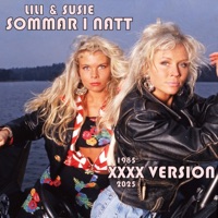 Sommar I Natt