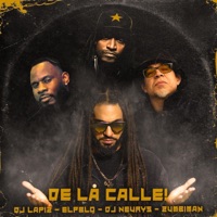 De la calle! (feat. Dj Neurys, El Pblo & Zumbiman) - Single - DJ Lapiz